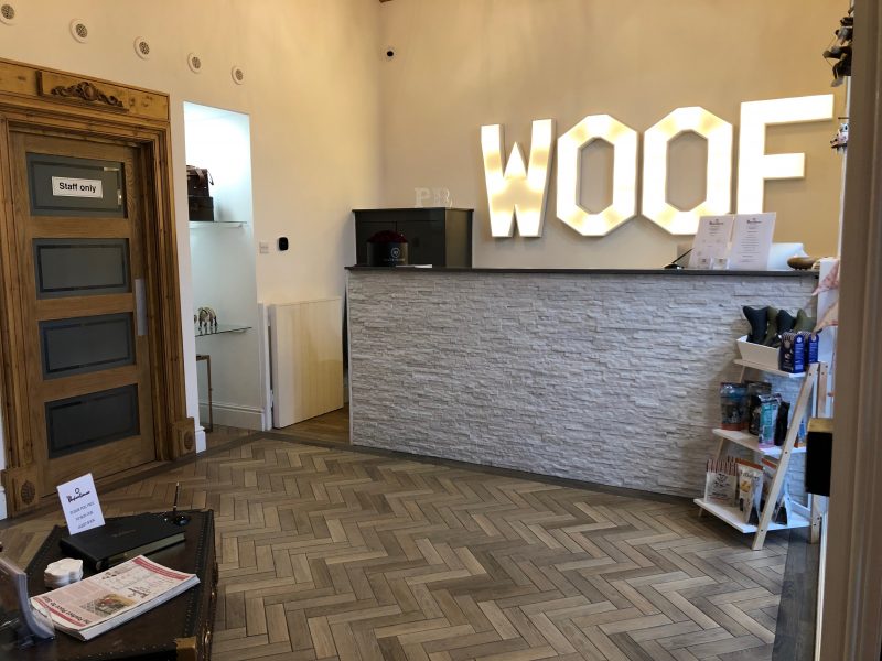 The Pawfect Retreat Reception