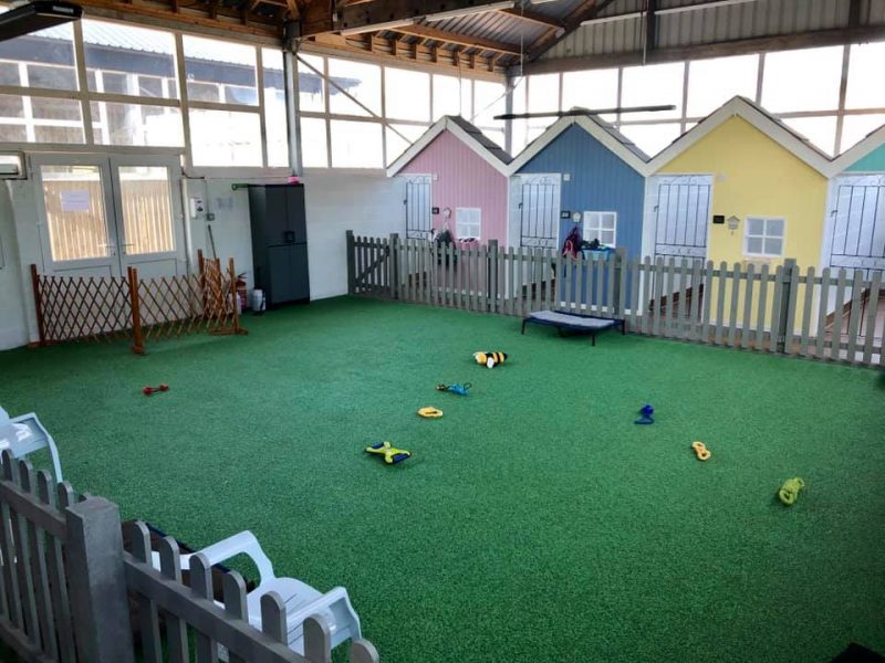 Day Care facilities with toys and privacy rooms for dogs