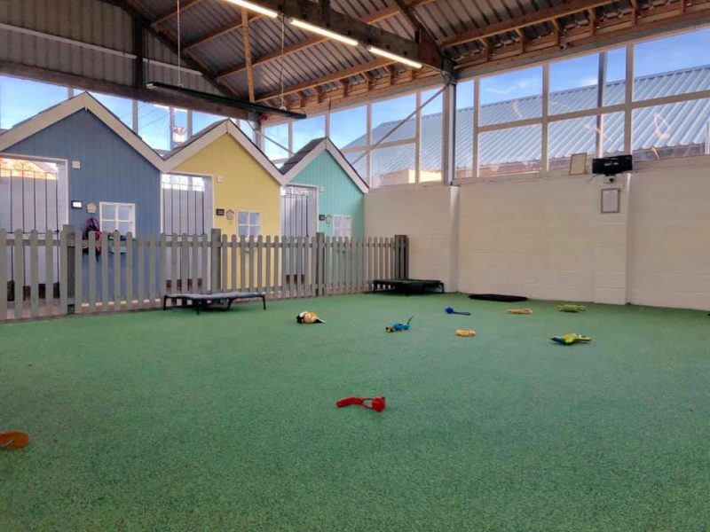 Dog dare care play area with toys