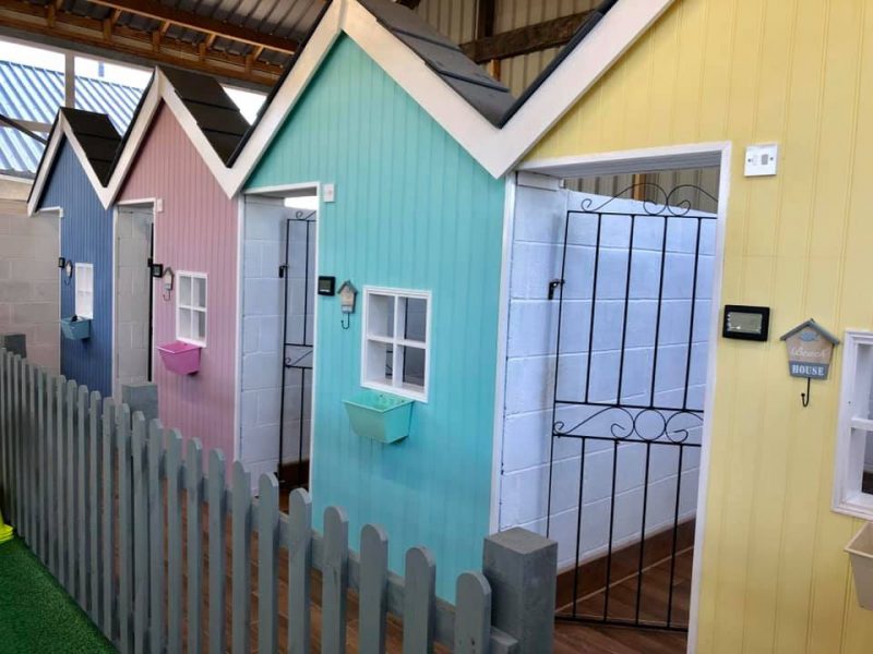 Small doggy day care privacy rooms