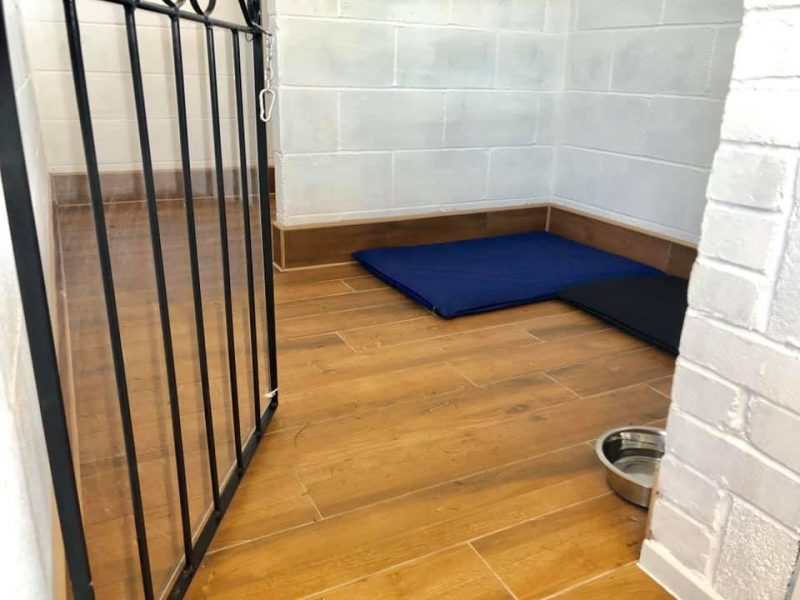 Doggy Day Care rooms with sleeping pads and privacy area