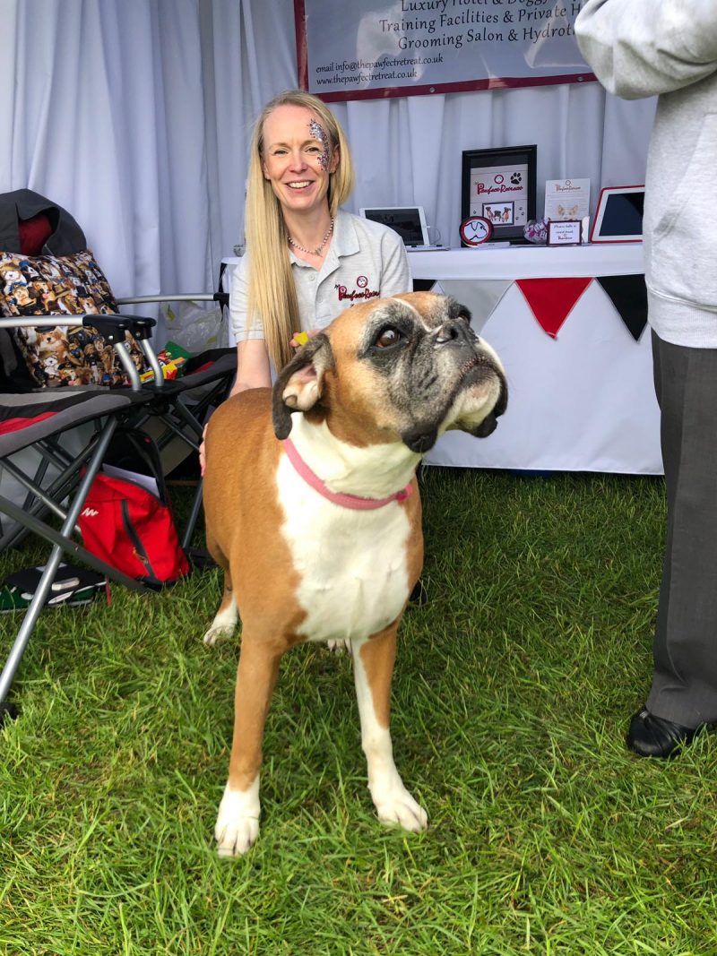 Team Pawfect at Boxerfest