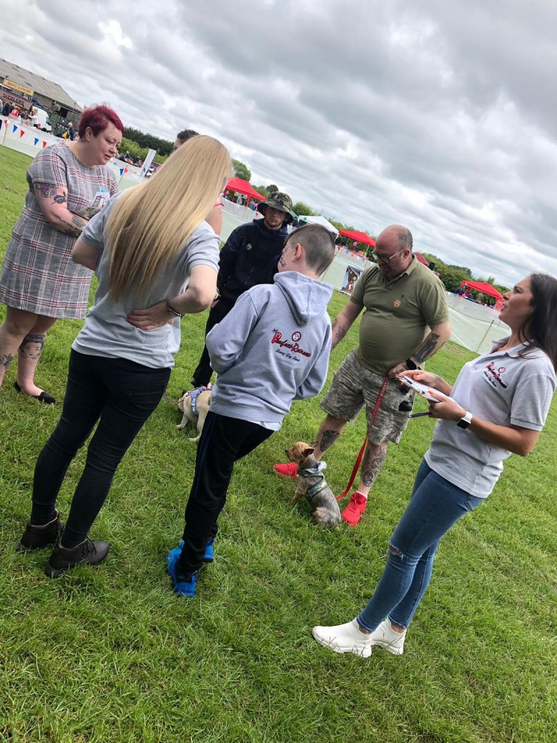 Meeting people at Boxerfest Liverpool