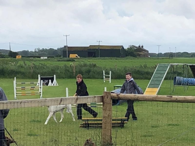 Outdoor Dog Agility course in Merseyside