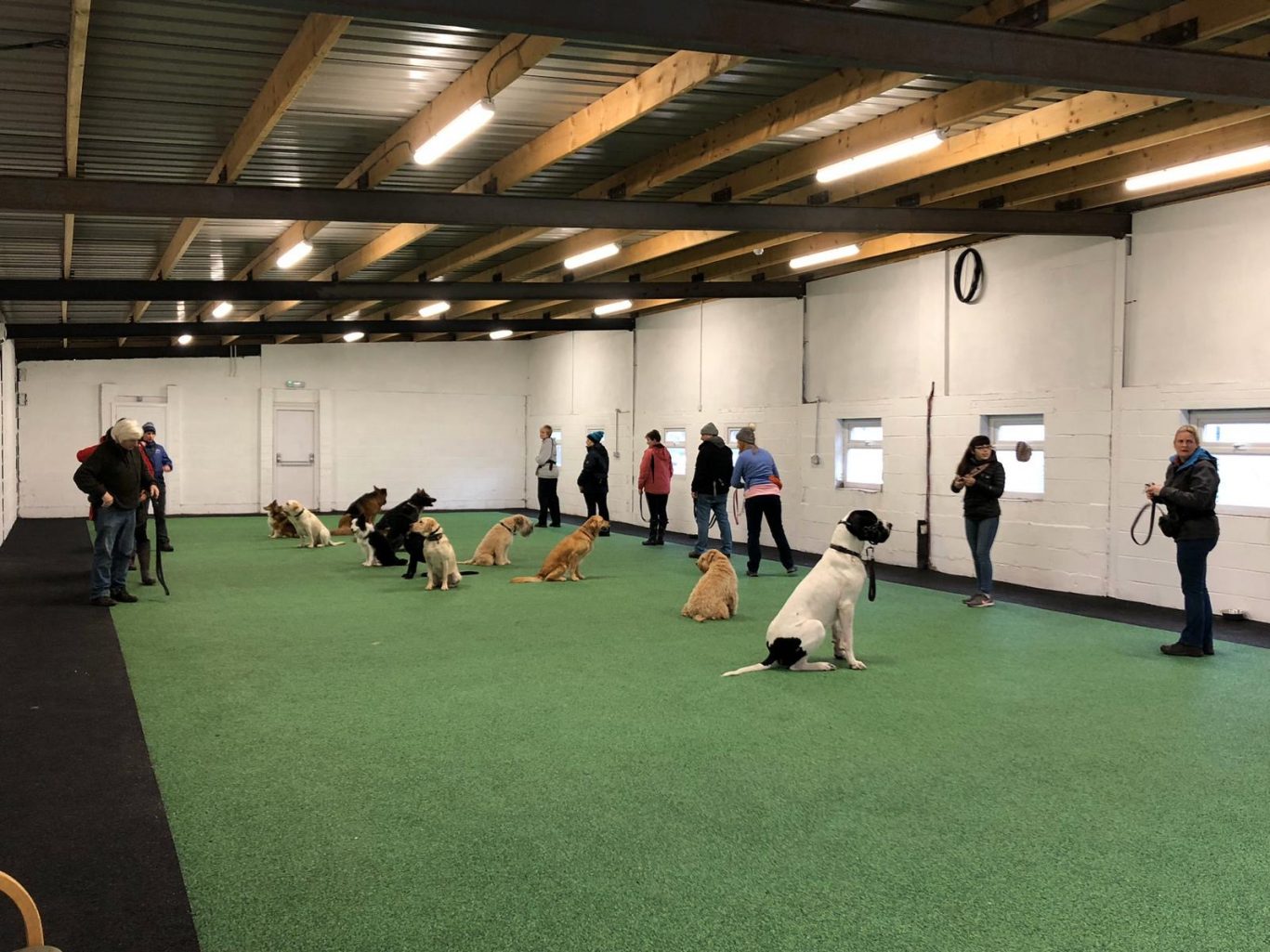 Dog Training Centre Near Liverpool | Pawfect Retreat, Merseyside