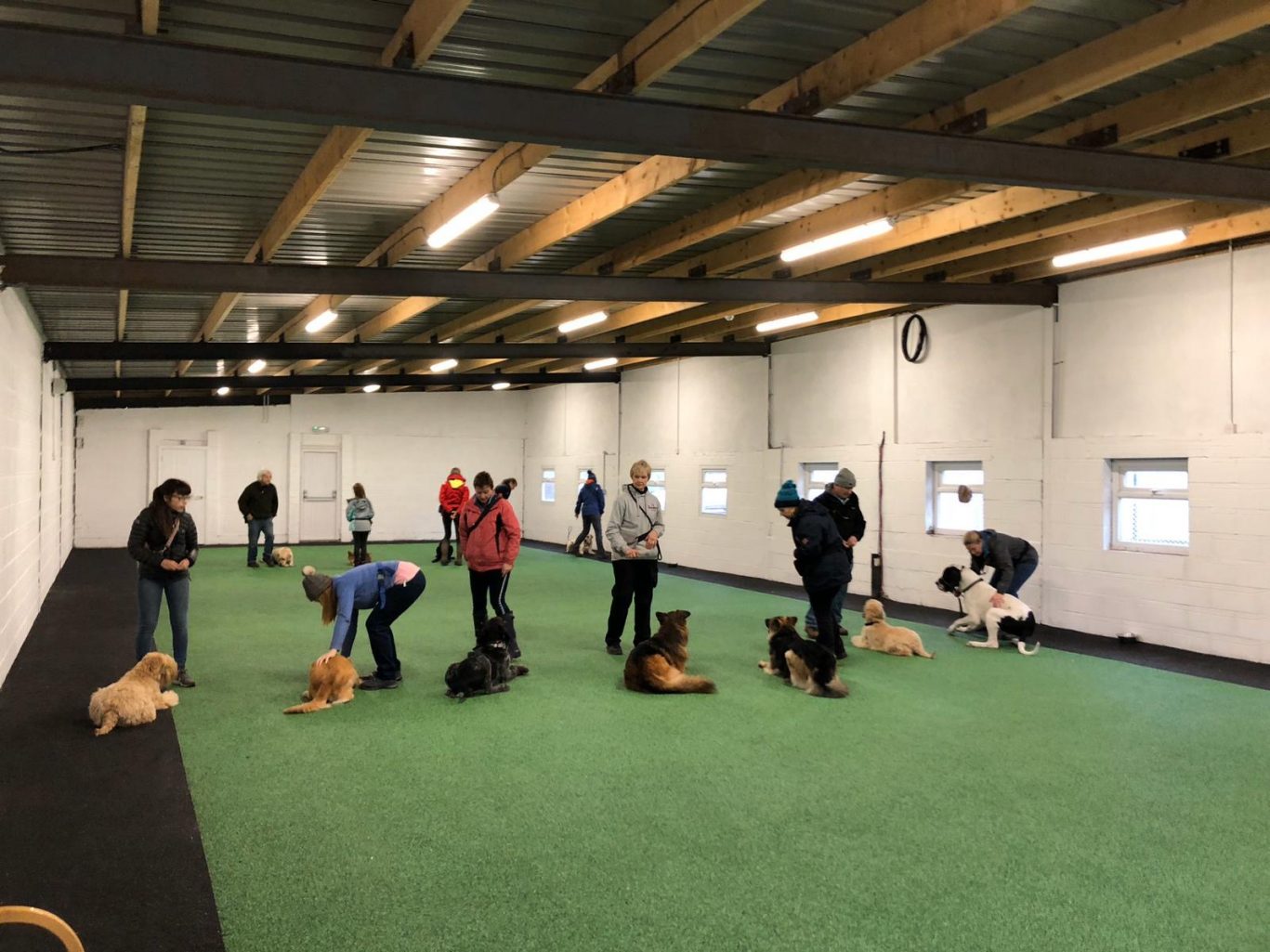 Dog Training Centre Near Liverpool Pawfect Retreat, Merseyside